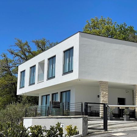 Villa Dispet With Heated Pool, Jacuzzi, Sauna And Cinema Čelina Exterior foto
